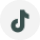 TikTok Icon