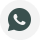 WhatsApp Icon